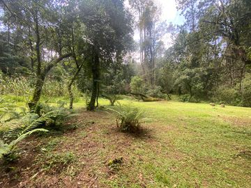 TERRENO EN VENTA CIRCUITO AVANDARO