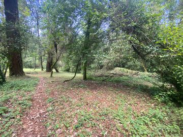 TERRENO EN VENTA CIRCUITO AVANDARO
