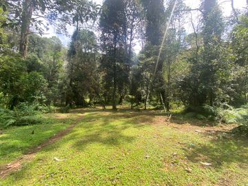 TERRENO EN VENTA CIRCUITO AVANDARO