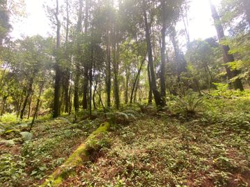 TERRENO EN VENTA CIRCUITO AVANDARO