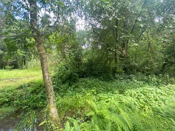 TERRENO EN VENTA CIRCUITO AVANDARO