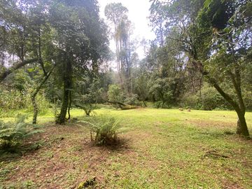 TERRENO EN VENTA CIRCUITO AVANDARO