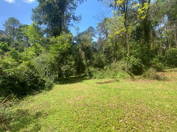 TERRENO EN VENTA CIRCUITO AVANDARO