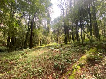 TERRENO EN VENTA CIRCUITO AVANDARO
