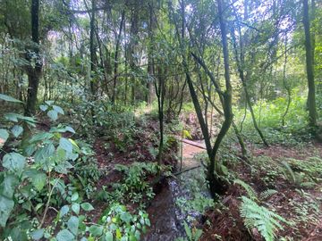 TERRENO EN VENTA CIRCUITO AVANDARO