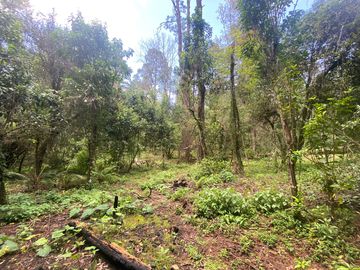 TERRENO EN VENTA CIRCUITO AVANDARO