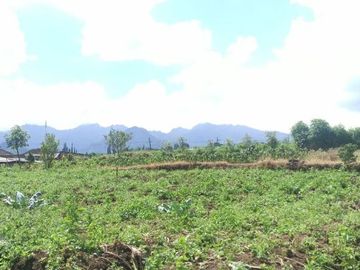 JUAL TANAH MURAH KOTA BATU