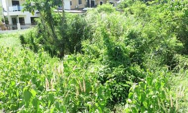 Lot for sale in Cebu City, Alta Vista