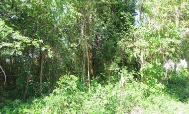 Lot for sale in Cebu City, Alta Vista