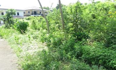 Lot for sale in Cebu City, Alta Vista