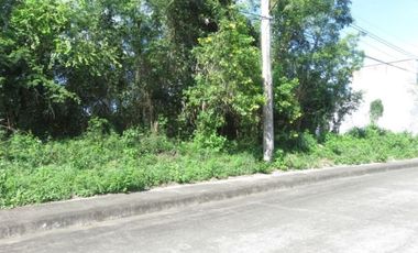 Lot for sale in Cebu City, Alta Vista