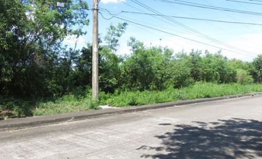 Lot for sale in Cebu City, Alta Vista