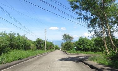 Lot for sale in Cebu City, Alta Vista