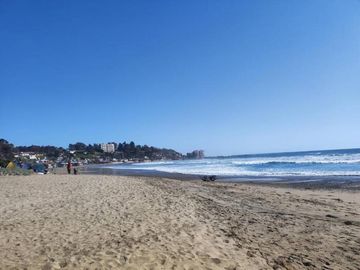 MAITENCILLO