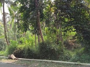 Dijual Tanah Kawasan Desa Wisata di Kadisono, Sleman