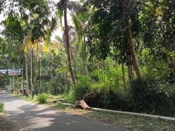 Dijual Tanah Kawasan Desa Wisata di Kadisono, Sleman