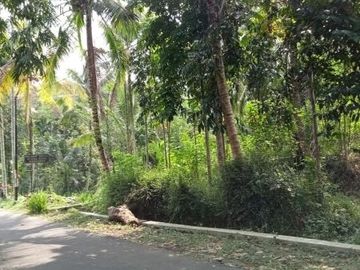 Dijual Tanah Kawasan Desa Wisata di Kadisono, Sleman