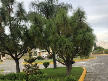 Casa coto privado recamara planta baja