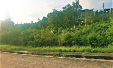 Overlooking 150 SQM Lot for Sale in Vista Grande Talisay Cebu City with Seaview