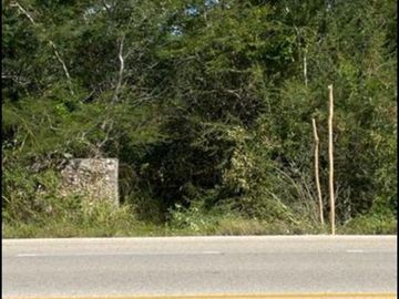 Venta terreno 56 Hectáreas Carretera merida chetumal.km 85