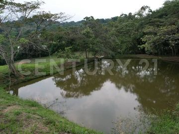 VENDO ESPECTACULAR LOTE CAMPESTRE EN ANAPOIMA EL MEJOR SITIO PARA VIVIR