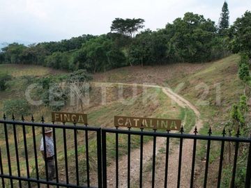 VENDO ESPECTACULAR LOTE CAMPESTRE EN ANAPOIMA EL MEJOR SITIO PARA VIVIR