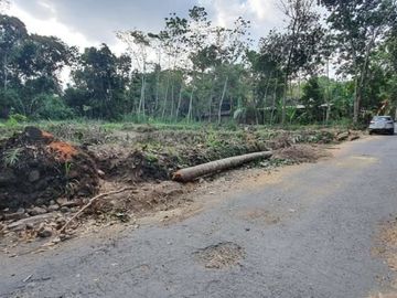 Tanah Kapling SHM Perunit Klaten Area Ngemplak Seneng 60 Jutaan