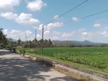 Kavling Dijual Murah Dekat Kota Akses Mudah Jln. Nasional Banyuurip