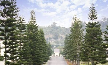 LOT ONLY FOR SALE AT TAGAYTAY HIGHLANDS 348sqm