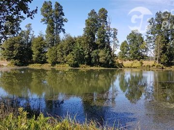Oportunidad de Parcelas Desde UF 1.050 Coñico, Purranque