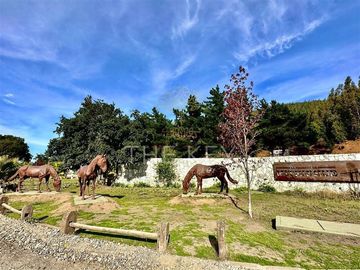 Terreno Construccion  en Venta en Camino a Santa Juana - Reserva de Mitrinhue