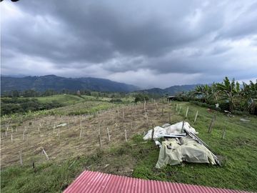 VENTA DE FINCA EN SALENTO, QUINDO, COLOMBIA