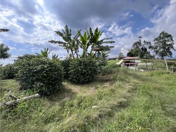 VENTA DE FINCA EN SALENTO, QUINDO, COLOMBIA