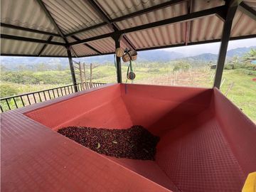 VENTA DE FINCA EN SALENTO, QUINDO, COLOMBIA