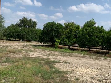 VENTA RANCHO CITRICOLA EN CADEREYTA