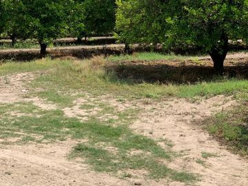 VENTA RANCHO CITRICOLA EN CADEREYTA