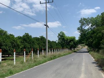 VENTA RANCHO CITRICOLA EN CADEREYTA