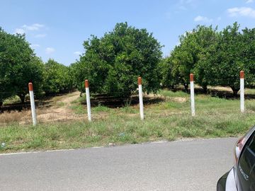 VENTA RANCHO CITRICOLA EN CADEREYTA