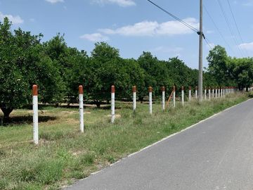 VENTA RANCHO CITRICOLA EN CADEREYTA