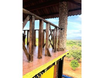 VENDO FINCA 3000 MTS2 CON ARBOLES FRUTALES Y CASA CAMPESTRE