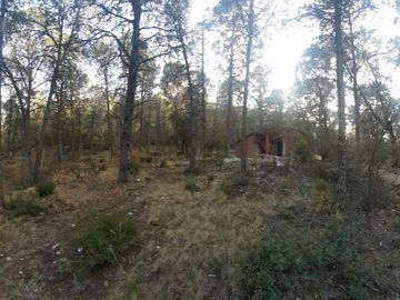 CABAÑA EN VENTA, BOSQUES DE LA MONTAÑA - ARTEAGA COAHUILA
