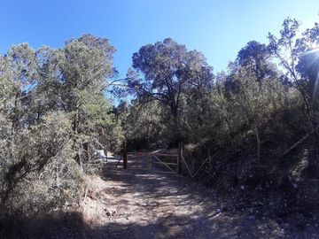 CABAÑA EN VENTA, BOSQUES DE LA MONTAÑA - ARTEAGA COAHUILA
