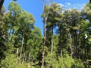 Parcela en venta en Curarrehue