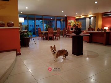 Casa de Lujo con Alberca en Venta en Colinas de San Javier Villa Universitaria