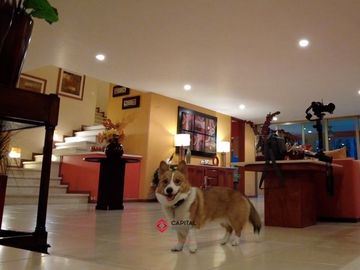 Casa de Lujo con Alberca en Venta en Colinas de San Javier Villa Universitaria
