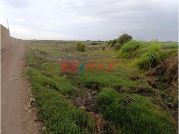 🌱 ¡Terreno Agrícola Estratégico en Moche! 🌾

📍 Ubicación Ideal: Sector San Agustín, a espaldas del centro de convenciones Náutica y muy cerca de la