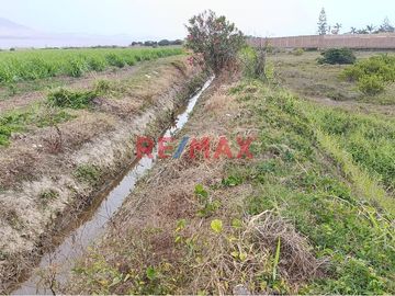 🌱 ¡Terreno Agrícola Estratégico en Moche! 🌾

📍 Ubicación Ideal: Sector San Agustín, a espaldas del centro de convenciones Náutica y muy cerca de la