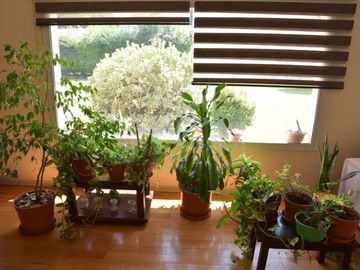 VENTA DE CASA EN Juana Koslay