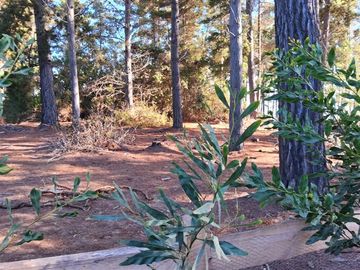Magico terreno en tunquen, con cuidadores, cercano a playa