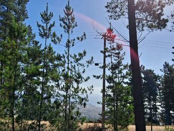 Magico terreno en tunquen, con cuidadores, cercano a playa